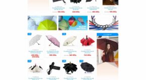 Raincoat Sales Website Design. WordPress Theme for Fashion Raincoats