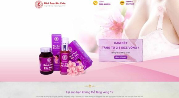 Thiết kế Website Thực Phẩm Chức Năng. Theme Wordpress Mỹ Phẩm Nâng Ngực