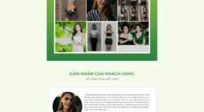 Thiết kế Website - Theme Wordpress Doanh Nghiệp Giảm Cân 4