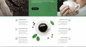 Desain Website untuk Penjualan Kopi Murni. Tema WordPress untuk Bisnis, Produk Pertanian, dan Penjualan Kopi Murni 3