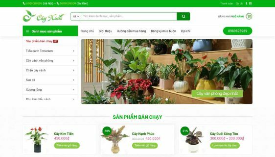 Website Design for Selling Ornamental Plants. WordPress Theme for Selling Mini Decorative Plants