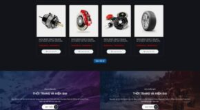 Design a Website for Selling Toy Cars. WordPress Theme for Car Accessories Sales and Services 3