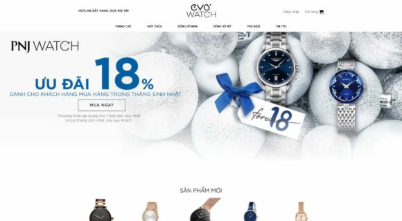 Design a Fashion E-commerce Website. WordPress Theme for Fashion Sales 5 Categories