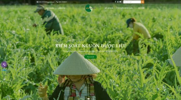 Thiết kế Website - Theme Wordpress Thực Phẩm Chức Năng Duộc Phẩm 5