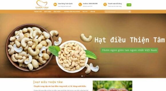 Thiết kế Website Bán Hạt Điều. Theme Wordpress Thực Phẩm Bán Hạt Điều 4