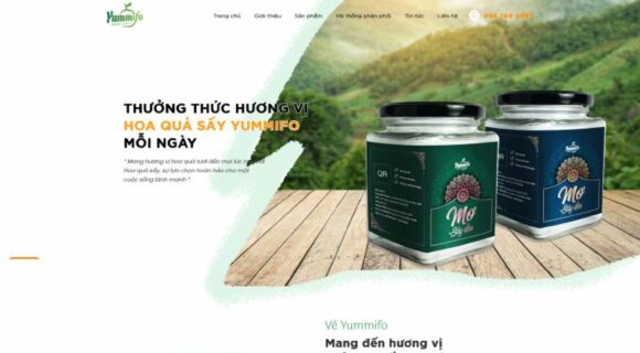 Thiết kế Website - Theme Wordpress Nông Sản Thực Phẩm Trái Cây Hoa Quả Sấy 4