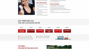 Thiết kế Website - Theme Wordpress Dịch Vụ Dạy Lái Xe 4