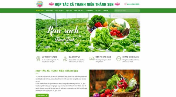 Thiết kế Website - Theme Wordpress Hợp Tác Xã Nông Nghiệp Doanh Nghiệp Thực Phẩm