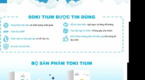 Thiết kế Website Bán Hàng. Theme Wordpress Doanh Nghiệp Bán Hàng Em Bé