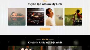 Thiết kế Website - Theme Wordpress Doanh Nghiệp Ca Sỹ