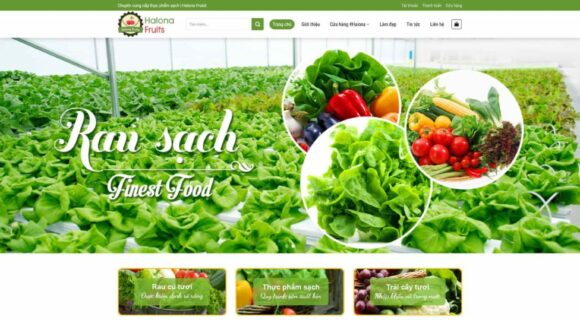 Designing an Agricultural Products Sales Website. WordPress Theme for Agricultural Products Sales 1