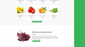 Designing an Agricultural Products Sales Website. WordPress Theme for Agricultural Products Sales 2.