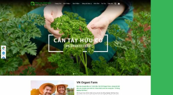 Designing an Agricultural Products Sales Website. WordPress Theme for Agricultural Products Sales 2.