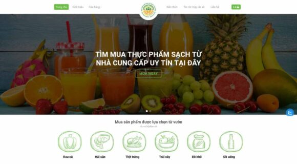 Designing an Agricultural Products Sales Website. WordPress Theme for Agricultural Products Sales 3