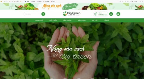 Website Design - Agricultural Products WordPress Theme 05.