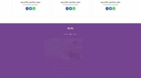 Thiết kế Website - Theme Wordpress Spa Thẩm Mỹ 6 Danh Mục Y Tế Sức Khỏe