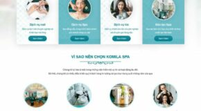 Thiết kế Website - Theme Wordpress Spa Thẩm Mỹ Y Tế 7