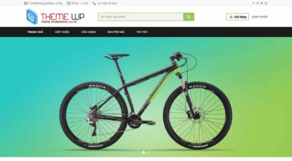 Design a Website for Selling Sports Equipment. WordPress Theme for Selling Sports Equipment 4