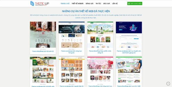 Thiết kế website bán theme hỗ trợ đa ngôn ngữ