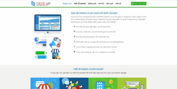 Thiết kế website bán theme được lập trình chuẩn SEO