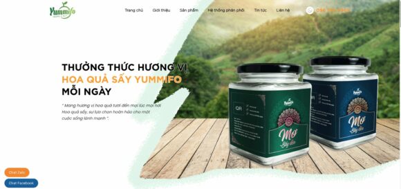 Theme WordPress Trái Cây Hoa Quả Sấy mẫu 4 hiện đại, tinh tế