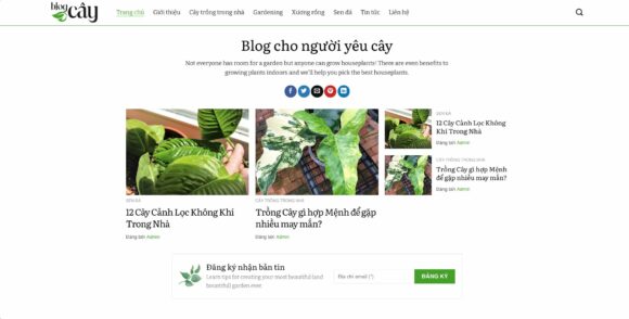 Thiết kế Website Tạo Blog, Tin Tức Về Cây Xanh