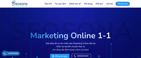 Tổng Quan Về Thiết Kế Website Marketing Seosona