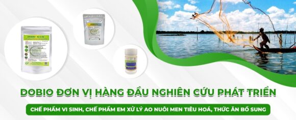 Giới Thiệu Sơ Lược Về Công Ty Dobio