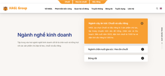 Danh mục sản phẩm có trong thiết kế website công ty Hoàng Anh Gia Lai