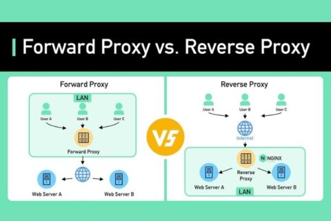 Forward Proxy và Reverse Proxy