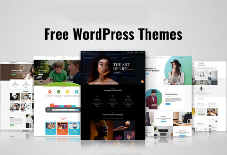 Giao diện theme wordpress