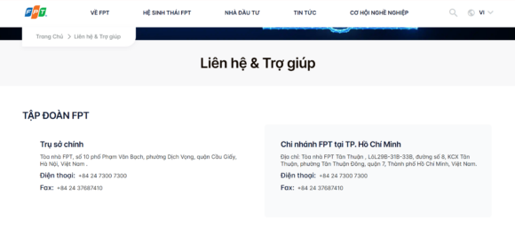 Liên hệ trợ giúp của thiết kế website công ty FPT