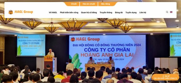 Quan hệ cổ đông trong thiết kế website công ty Hoàng Anh Gia Lai