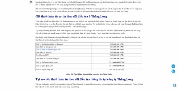 Thông tin giá thuê trong thiết kế website công ty Thám Tử Thăng Long