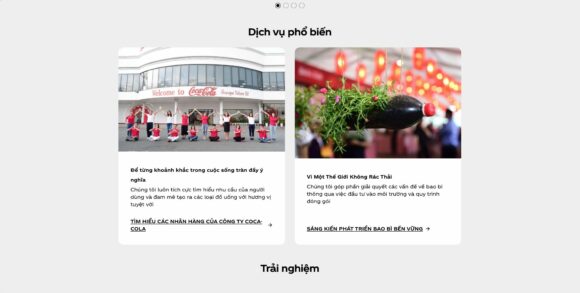 Dịch vụ phổ biến trong thiết kế website công ty Coca-Cola