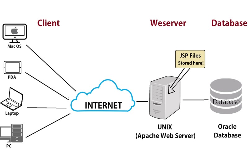 Server cung cấp tất cả dữ liệu