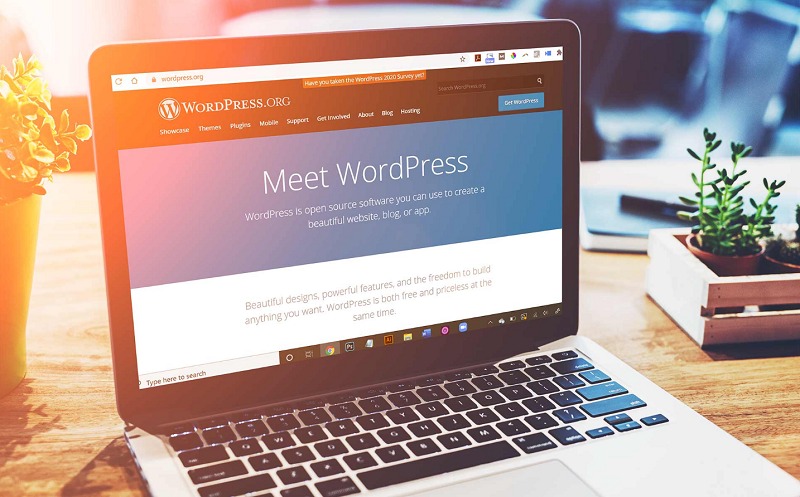 Tạo Website cho doanh nghiệp trên WordPress giúp tiết kiệm chi phí