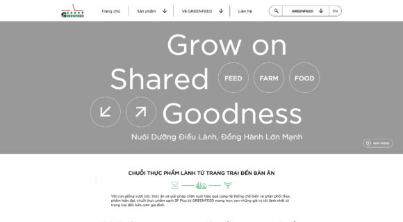 Thiết Kế Website Công Ty Greenfeed: Giải Pháp Web Chuẩn SEO, Tối Ưu