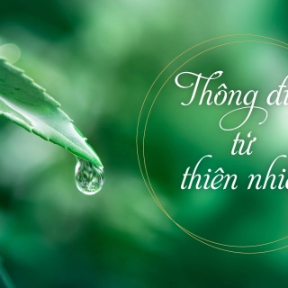 Cách lau dọn bàn thờ Thần tài trong cửa hàng dịp cuối năm
